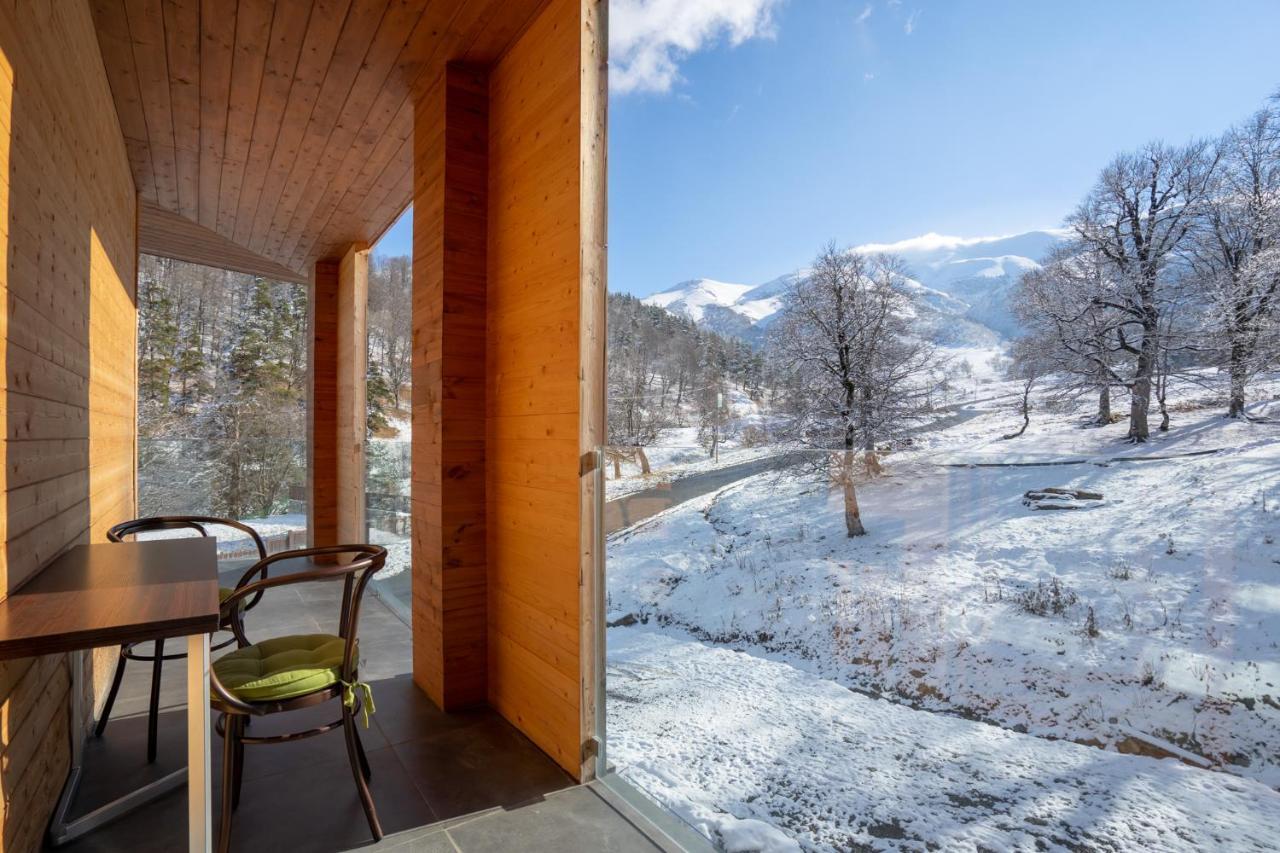 Didveli Valley Bakuriani Exterior foto